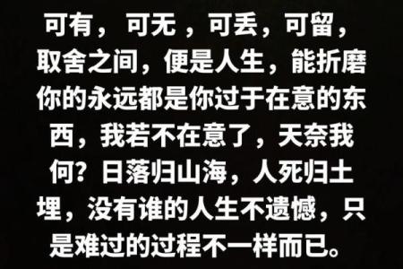 人生如梦，何必执念于得失之间？