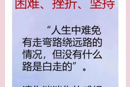 桑松木命与哪些命相配，伴你同行的人生之路