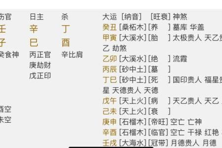 什么八字的男人有养子命：解析命运与家庭的深层联系