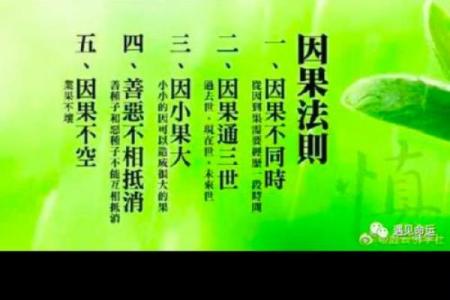 命运的轮回：从“对症下药”谈人生智慧