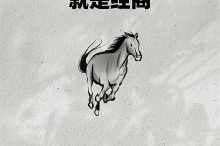 那些让人心惊胆跳的高风险赚钱项目，值得你尝试吗？