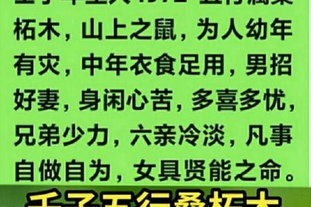 桑拓木命与最佳五行搭配的完美解析