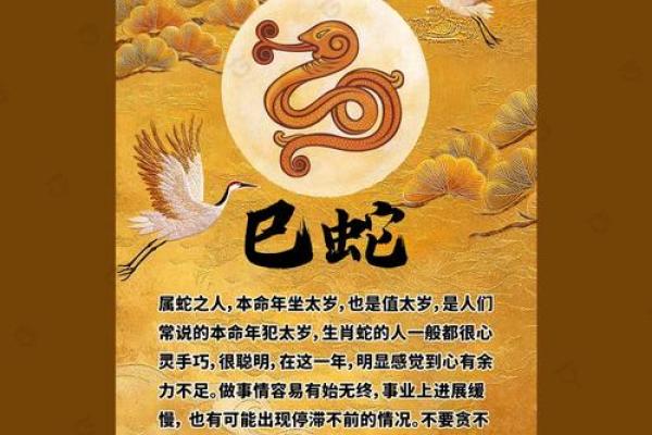什么叫拜命年？解读这一传统习俗的深厚文化内涵
