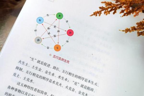 命理学与玄学：揭开宇宙奥秘的神秘之旅