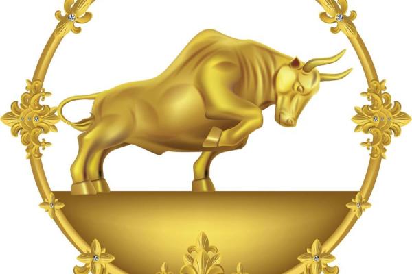 属牛49岁五行命格解析：探寻稳定与财富的智慧之路