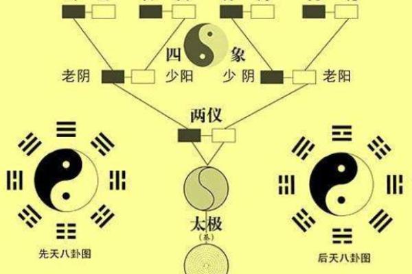 揭示你的命理之旅：适合学道士的八字与修行方法