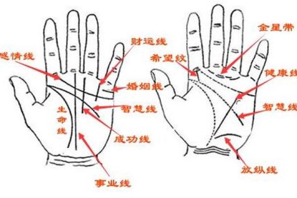 你手中的命运:通过手纹揭秘三条主线的命数解析 你手中的命运:通过手纹揭秘三条主线的命数解析