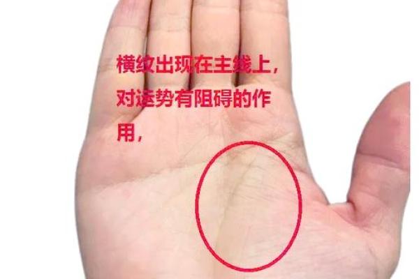 揭秘银杏命：从手相看命运与性格的奥秘