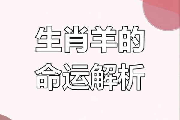 属羊女腊月生日的命运：探索她的性格与人生轨迹