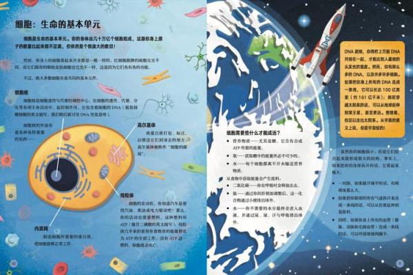 身主与命主的神秘关系:命运与自我之旅的交汇点 身主与命主的神秘关系:命运与自我之旅的交汇点