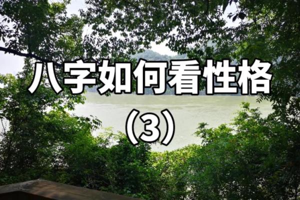 什么样的命格可以让你在打架中无所畏惧？探秘八字的神奇力量