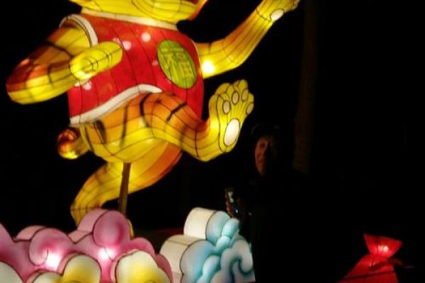 属虎人正月十五的命运：如何掌握好运与成功的钥匙