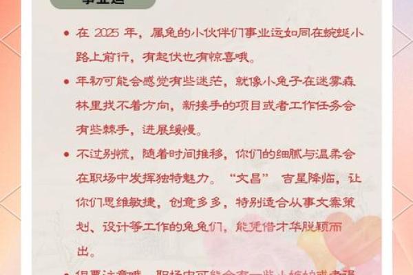 三十五岁属兔的命运与人生智慧：如何迎接未来的挑战与机遇
