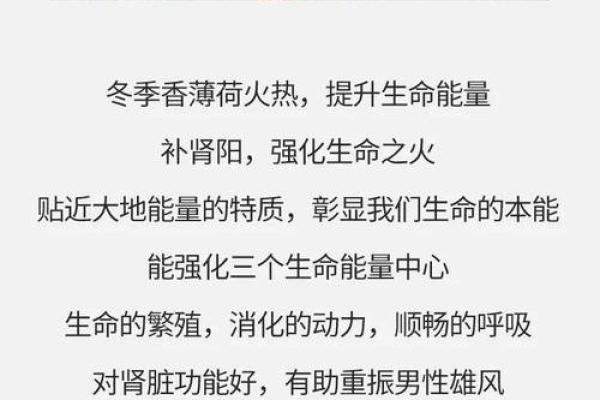 秋意浓，火命人的最佳选择：点燃生命的激情与活力