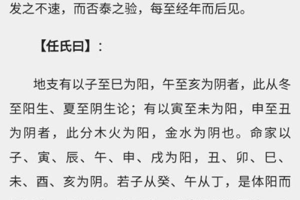 揭开命理的奥秘：公九命的深刻解析与影响