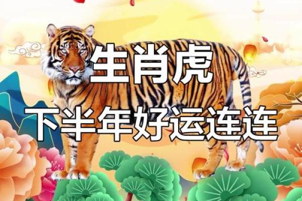 属虎人在2023年6月28日的命运分析与启示