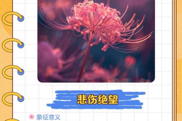 命运的轮回：解读命运好坏的真正含义