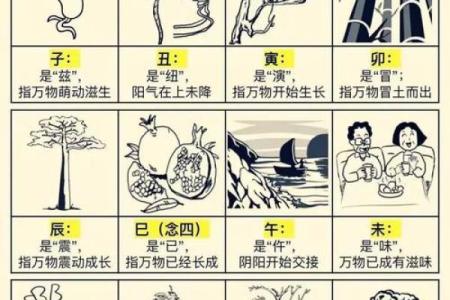 女命中最怕的地支相冲与命运解析