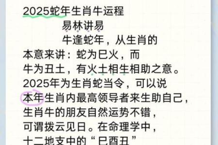 牛年出生的命理解析：2009年属牛人的性格与运势探秘