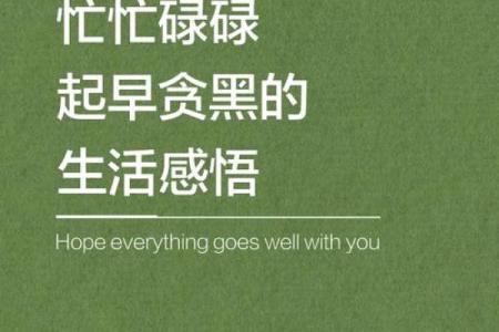 揭开劳碌命的秘密：为何我们总是忙碌不停？