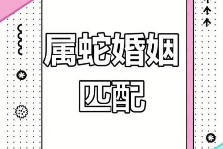 蛇命与其它命相配的最佳婚姻搭配探讨