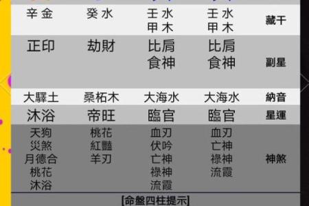 什么代表命里的水旺：解析命理中的水元素与人生运势