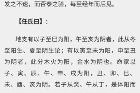 揭开命理的奥秘：公九命的深刻解析与影响