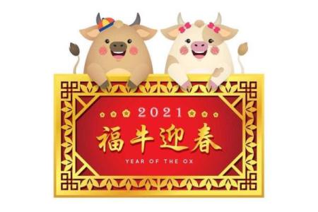 84年属虎本命年如何选购吉祥物与饰品，助你迎好运！