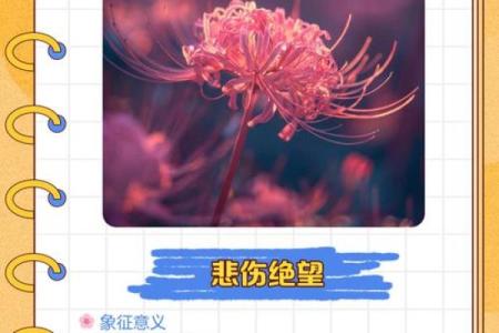 命运的轮回：解读命运好坏的真正含义