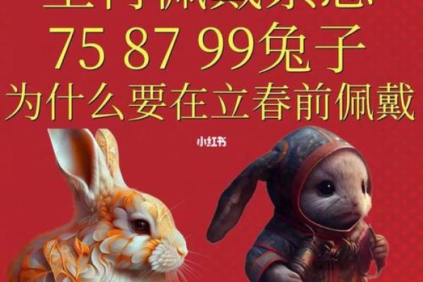 属兔女命五行分析：探寻命理中的缺失与补救之道