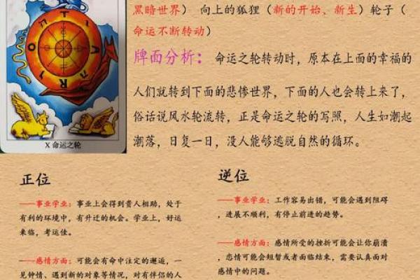了解天上火命：助力人生逆转的秘密与方法