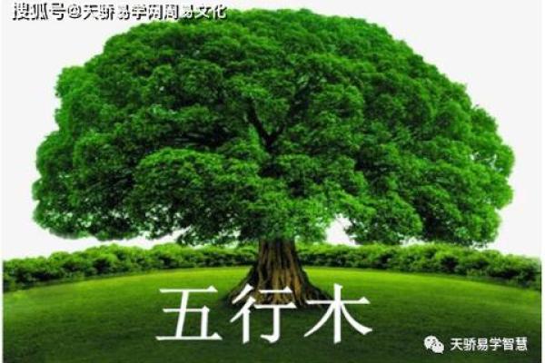 缺木一般是什么命女?潜藏的命理秘密与人生运势解析 缺木一般是什么命女?潜藏的命理秘密与人生运势解析