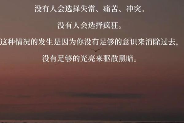 女主命贵：从故事中的力量与命运谈人生的选择与成长