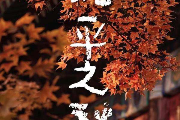 女命与妾室:潜藏的命运与机缘之探讨 女命与妾室:潜藏的命运与机缘之探讨