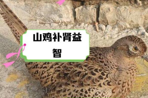 山下火命者适合养殖哪些动物？探寻最佳养殖方案！