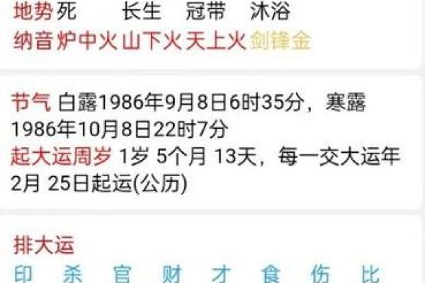 伤官见食神：自由与创造并存的命格解析