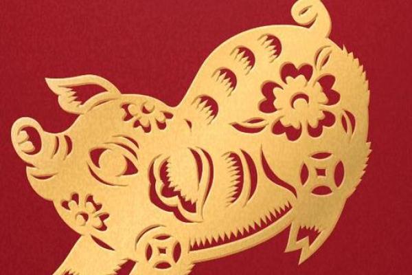 七十多岁属猪的命运与人生智慧：岁月的沉淀与未来的方向