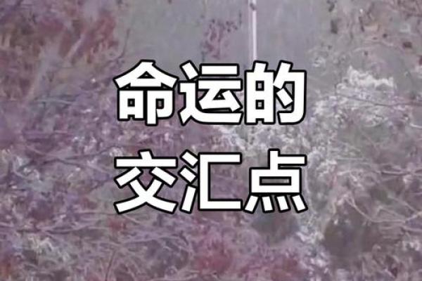 谁都要谁的命：人与人之间的微妙关系与命运的交织