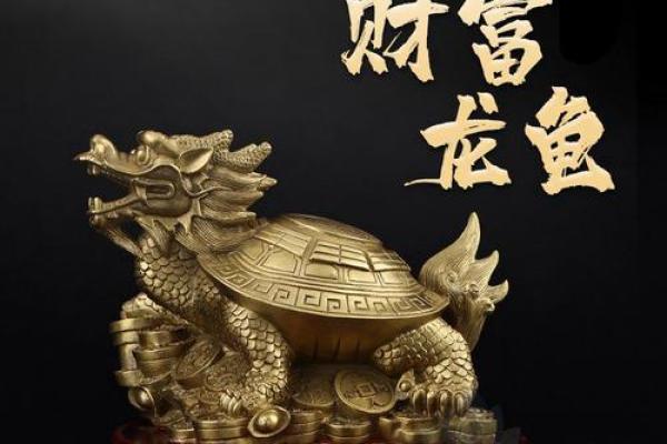 根据命理选择龙头龟，开启好运之旅！