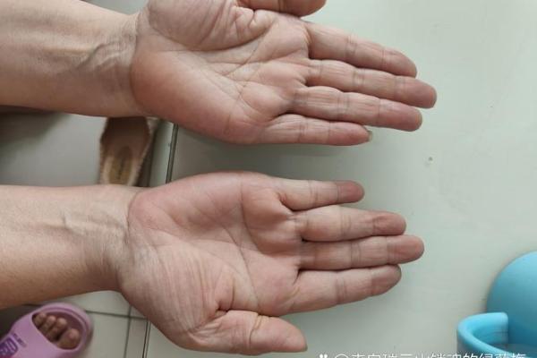 梅花纹手相揭秘：女性命理中的吉祥象征与生活影响