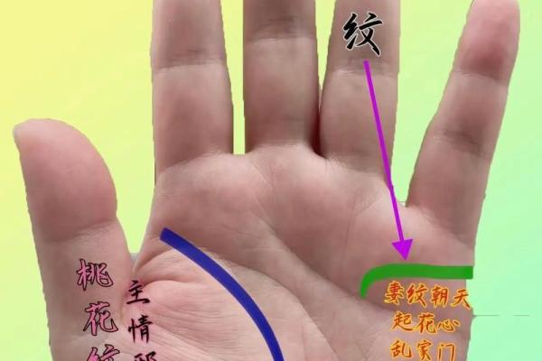 梅花纹手相揭秘：女性命理中的吉祥象征与生活影响