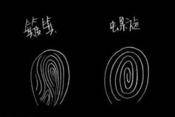 根据手指形状解析命运,揭秘你的未来秘密! 根据手指形状解析命运,揭秘你的未来秘密!