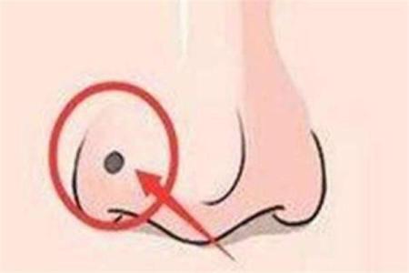 生肖牛阴女的土五局命运与人生探秘