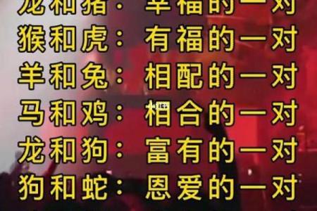 石榴木命与生肖的完美配对：相生相克中的平衡艺术