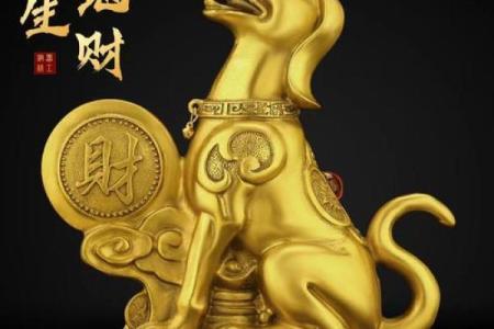 属狗火命如何选择吉祥饰品，助你运势旺盛！