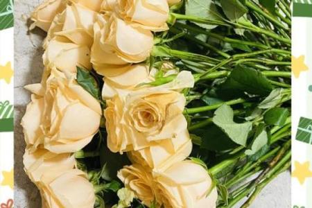 女人养不活花是什么命：优雅与妥协的生活哲学