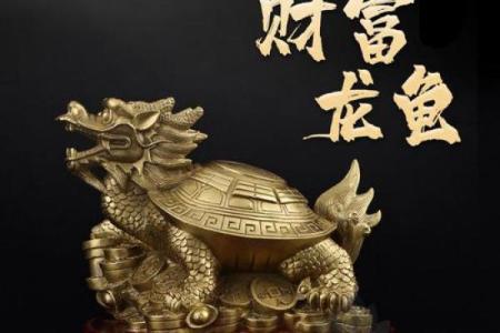 根据命理选择龙头龟，开启好运之旅！