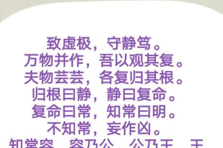 偏官坐正官：揭示命格中的深奥智慧与人生之道