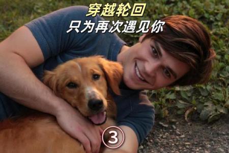 蛇与狗：命中的相遇与和谐之道