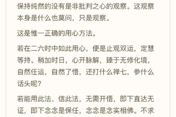 僧道命的等级解析:寻求内心的智慧与平和 僧道命的等级解析:寻求内心的智慧与平和